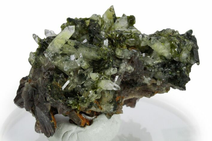 Sharp Axinite Crystal Cluster with Green Epidote & Quartz - Peru #347874